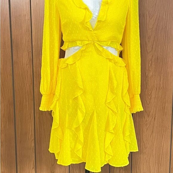 ALICE + OLIVIA Mitzi Cut Out Godet Minidress size 6 - Picture 8 of 16